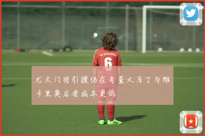 尤文门将引援仍在考量大马丁与维卡里奥后者成本更低