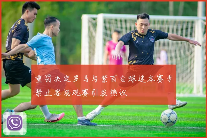 重罚决定罗马与紫百合球迷本赛季禁止客场观赛引发热议