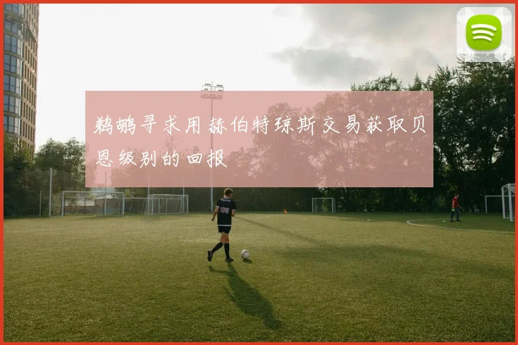 鹈鹕寻求用赫伯特琼斯交易获取贝恩级别的回报