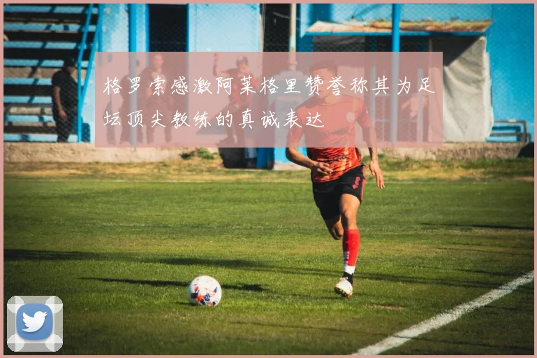 格罗索感激阿莱格里赞誉称其为足坛顶尖教练的真诚表达